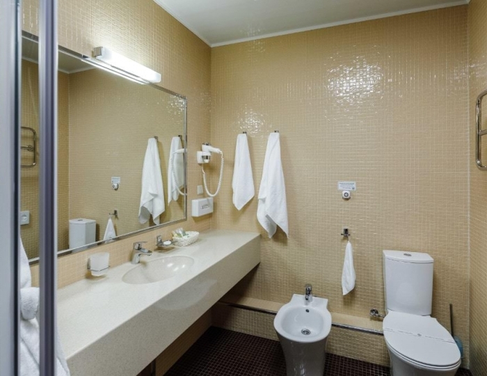 Апартаменты 1-местный Singl - Санаторий «Кивач» Кончезеро