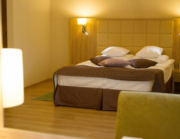 Studio 2-местный - Санаторий «Кивач» Кончезеро